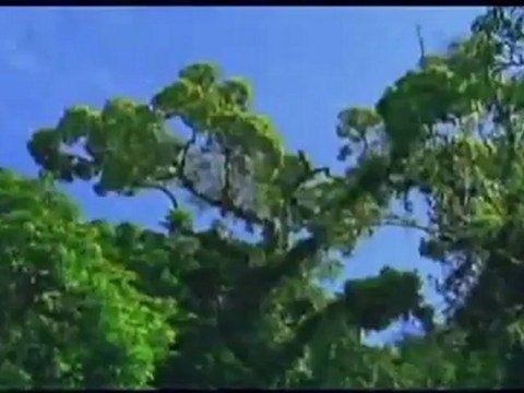 Medical Tourism Catolica - Hip and knee Replacement costa rica