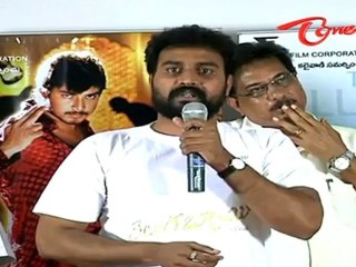 Telugabbai Movie Platinum Disc Function