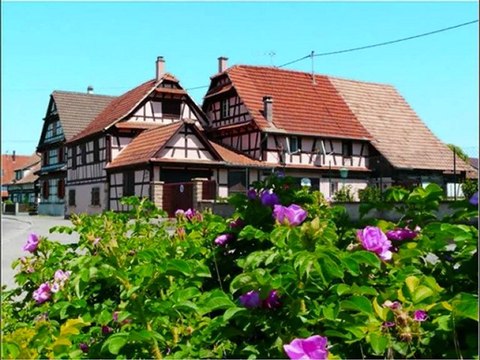 52 La Plaine d'Alsace Bas-Rhin