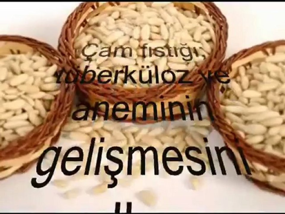 ALTINTAŞ KÖYÜ FOTOĞRAFLI ÇAM FISTIGI KISA BİLGİLERİ