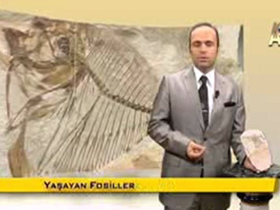 MİLYONLARCA YILDIR DEĞİŞMEYEN MENE BALIKLARI