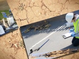 Soil Testing Sunshine Coast