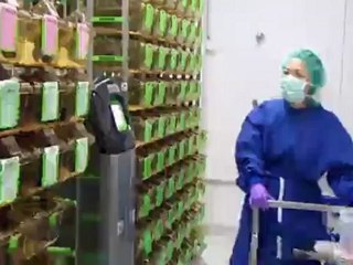 Medicamentos contra la obesidad: un peligro global subestimado | Visión futuro