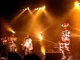 rude boy skunk et le bovin