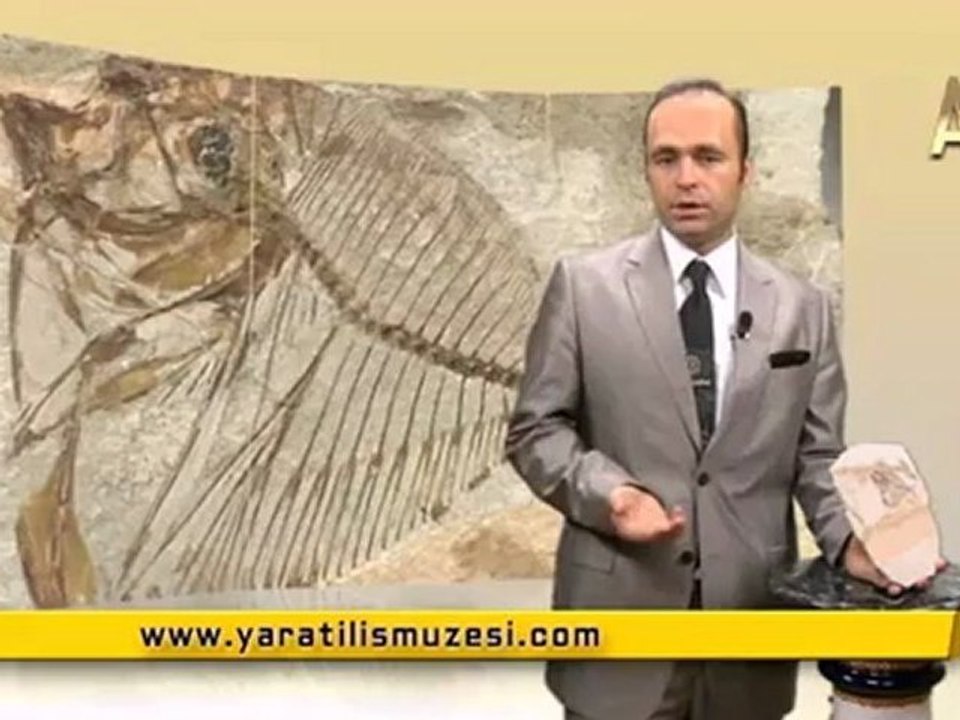 MİLYONLARCA YILDIR DEĞİŞMEYEN MENE BALIKLARI