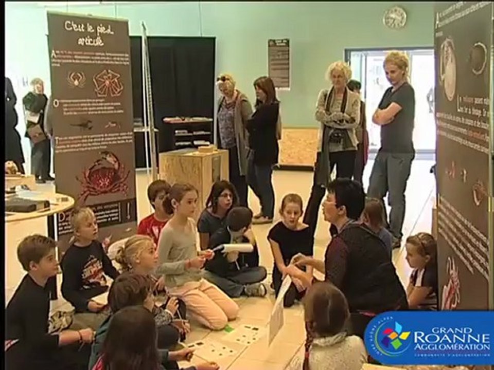 Exposition Balade dans l'évolution