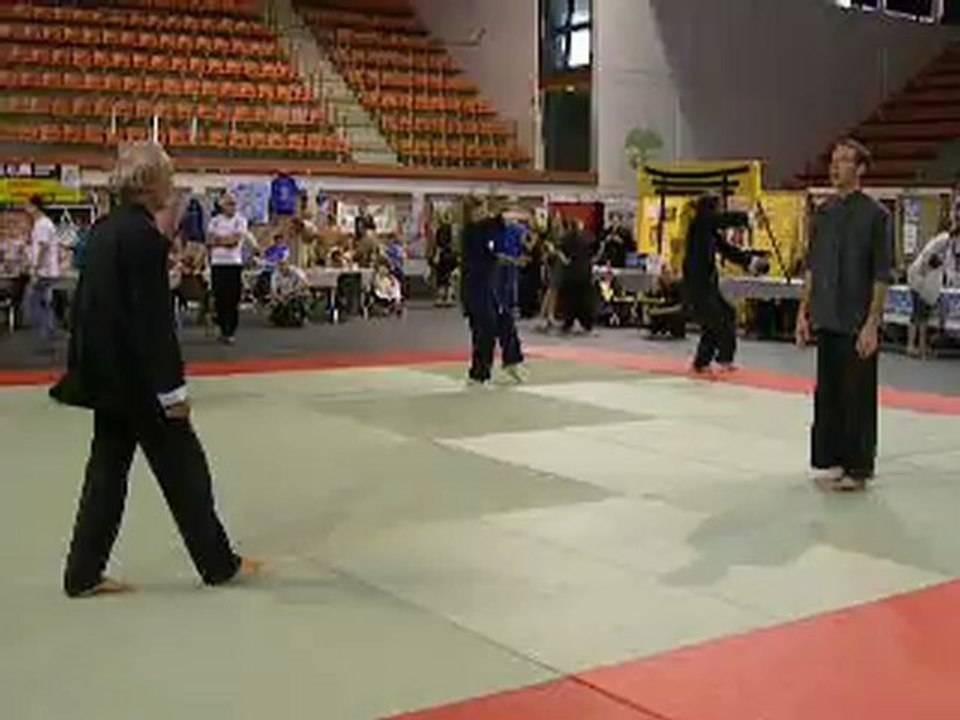 Forum des sports de Nîmes - Démonstration de taï chi chuan