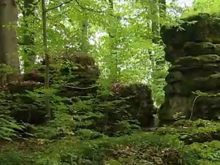 Suiza Francona: tres sugerencias | Destino Alemania