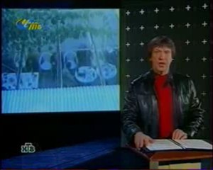 Особо опасен - Бригада