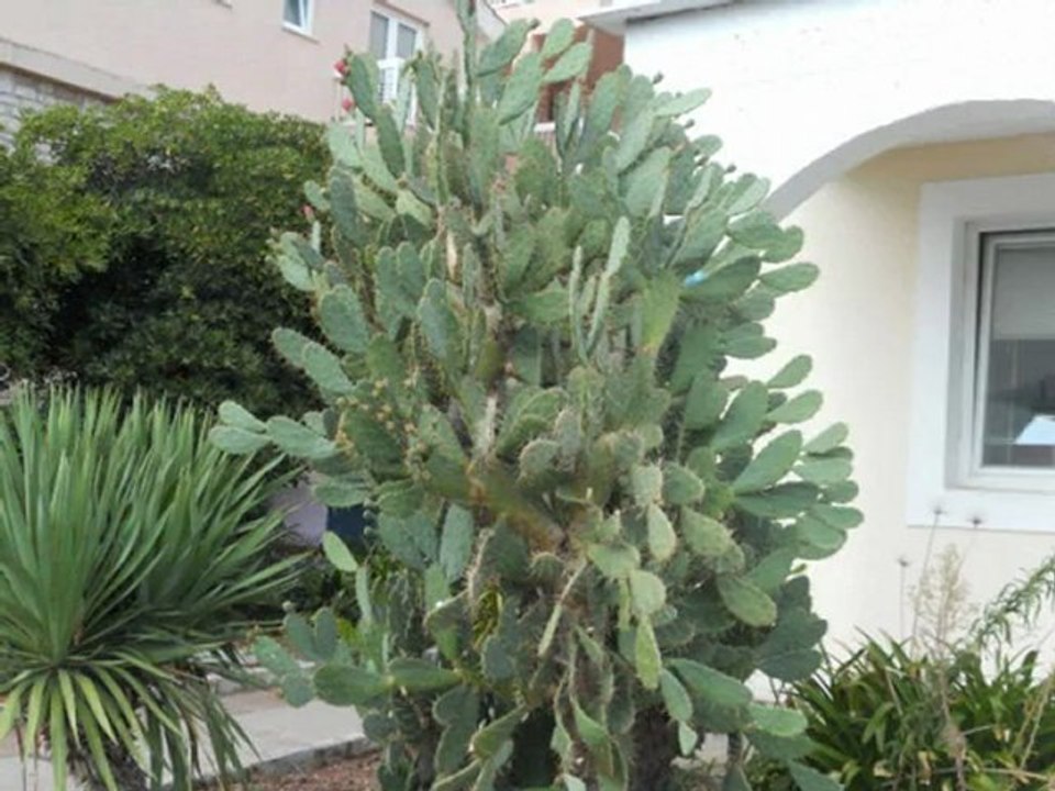 Mon séjour au MONTENEGRO, CROATIE et ALBANIE ( septembre 2012 )