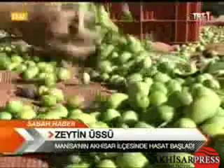 Akhisar 4.Zeytin Hasat Şenliği TRT 1 Haber