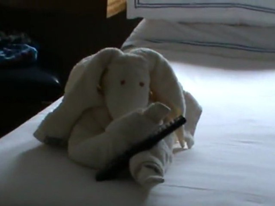 FTI Berlin Kreuzfahrten ein  Tier aus Handtuch gelegt dekoriert Hubert und Matthias Die Fellas Mittelmeer Nordland rotes Meer