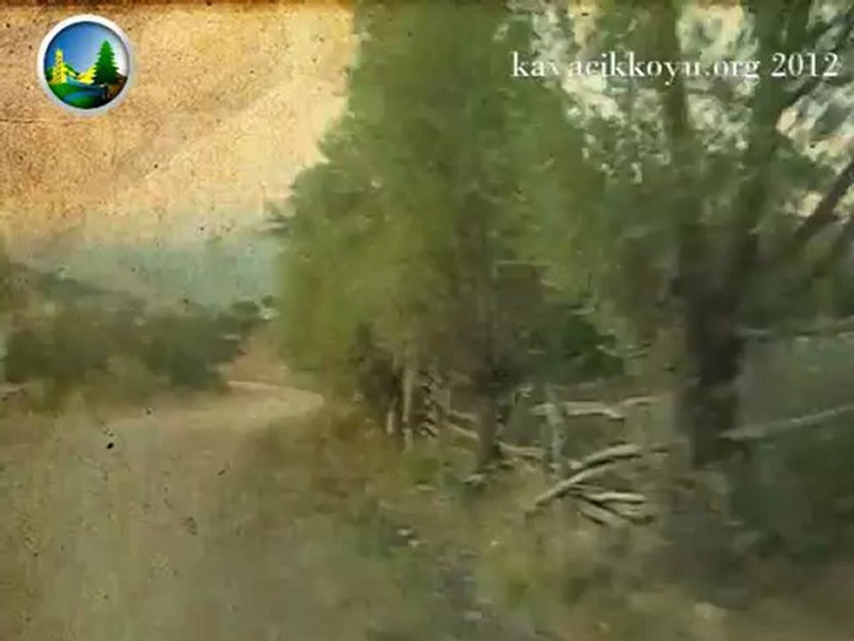 köy ve esterabim