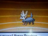 Evolution Ponchiot Chromatique en Ponchien Chromatique-Evolved Shiny Lillipup into Shiny  Herdier