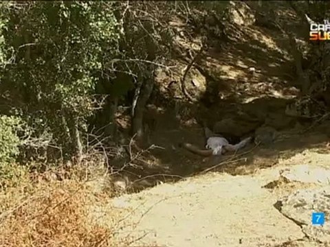 TRISTAN MARTIN MIRA ¡ESTA AHI! VAMOS ESDPV 15-10-2012