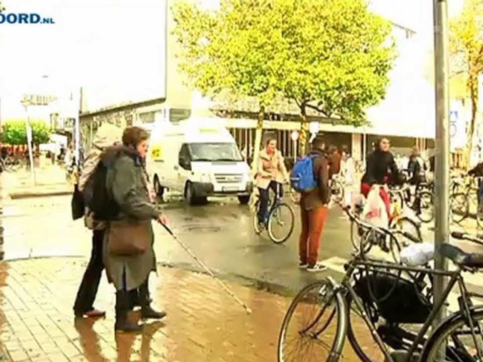 Blinden en slechtzienden lopen samen op Dag van...