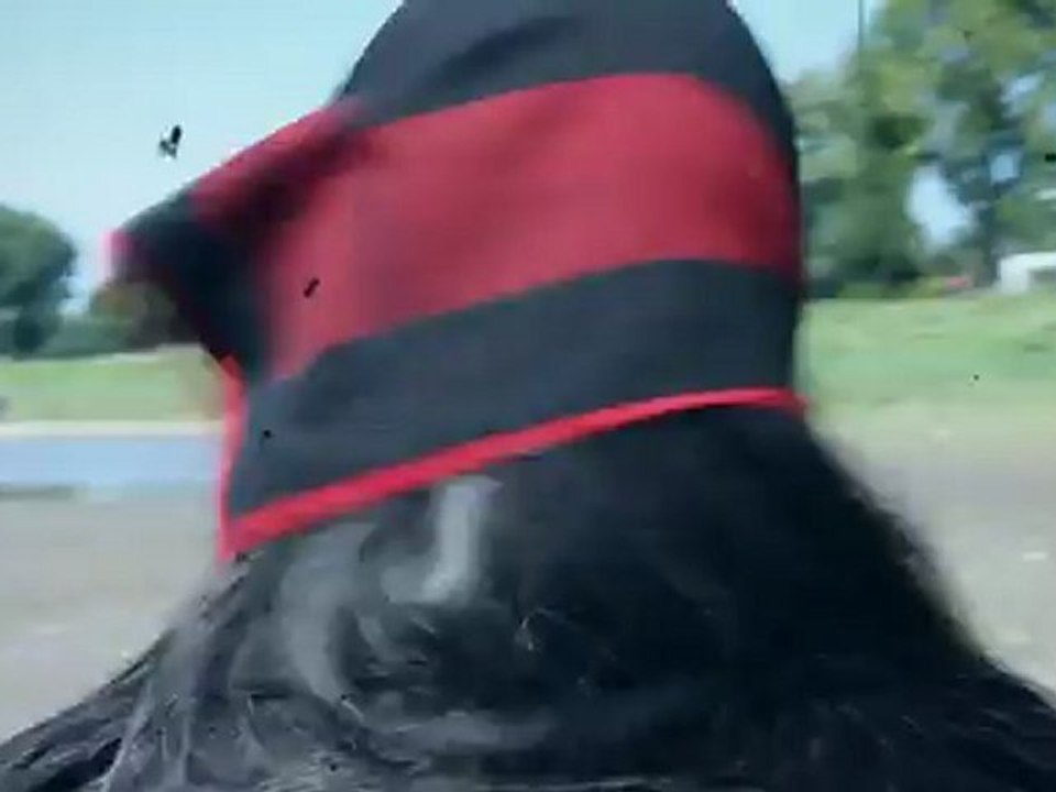 Oxidox - cheshm khomar