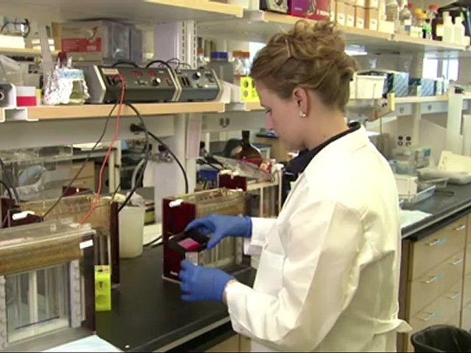 Your body’s fat cells need sleep as much as your brain does