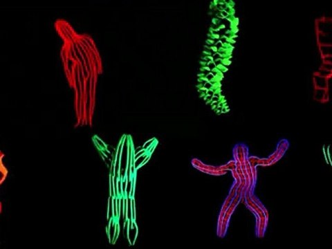 Roman Ermakov - Live sculptures (Moscow, Russia)