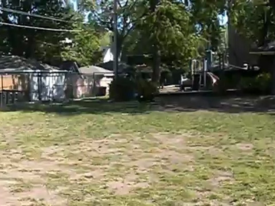 30 seconds of Peace: Running Puppy