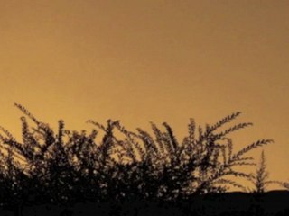 Piano Solo: Japanese Traditional Song "Furusato" (Home Town)