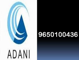 +91 9650100436 / 01141524557 Adani Sector 102 Gurgaon