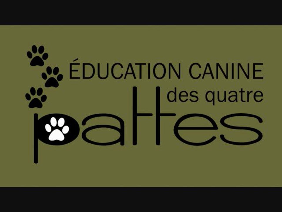 Intervenant canin : Votre chien creuse? Voici les solutions