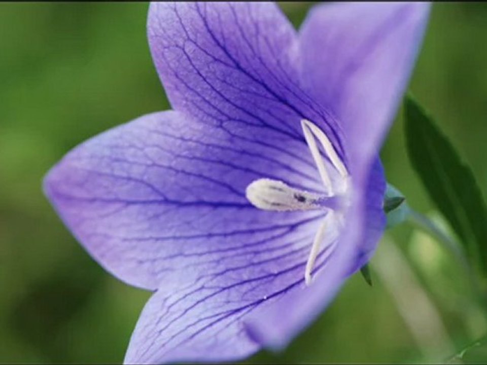 Mari Boine Persen In the Hand Of The Night