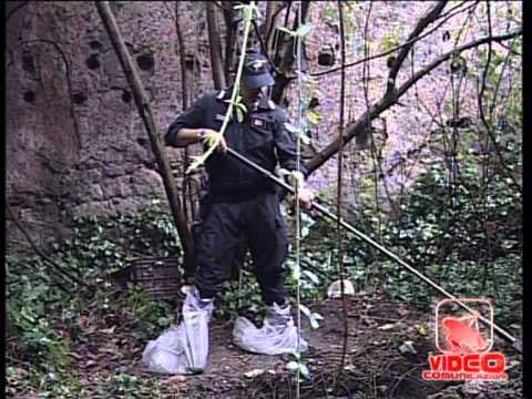 Napoli - Uccide e nasconde il cadavere dell'amante di sua moglie (12.10.12)