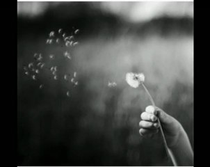 Adele Don't You Remember