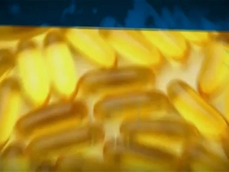 Choosing Best Omega 3 Oil from EnergyFirst.com – Call on 888-883-6374