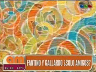 Pronto.com.ar Fantino y Gallardo desmienten