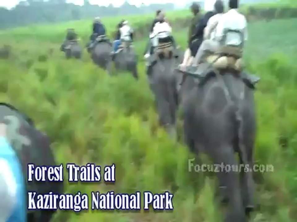 Top 10 Adventure Travel Activities India ( HD )