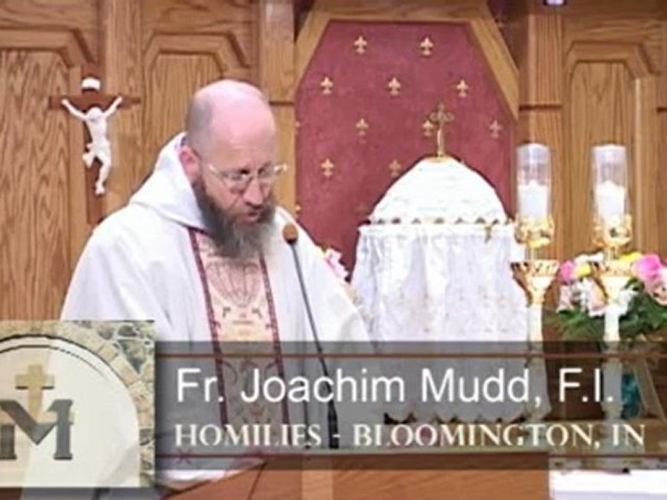 Oct 16 - Homily: Justification by Law or Faith