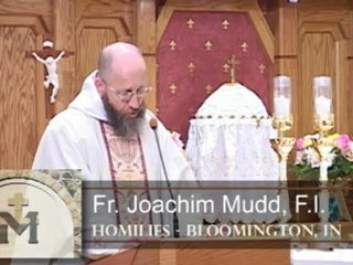 Oct 16 - Homily: Justification by Law or Faith