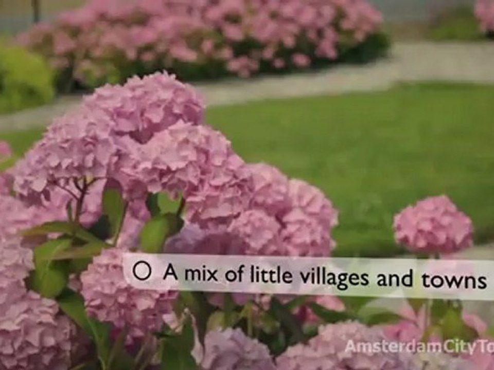 Zaanse Schans - Windmills, Cheese and Wooden Shoes