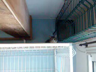 Gaby sur les hauteur de Chez Tom et Jerry