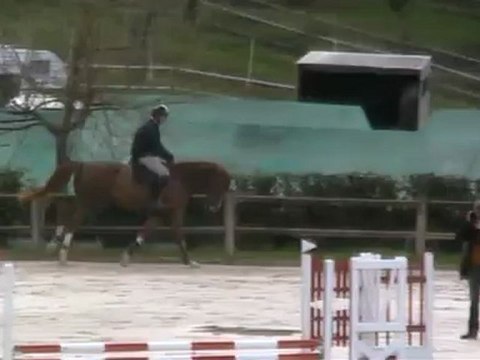 Cristal Mury Marais Z par Crown Z 4 ans