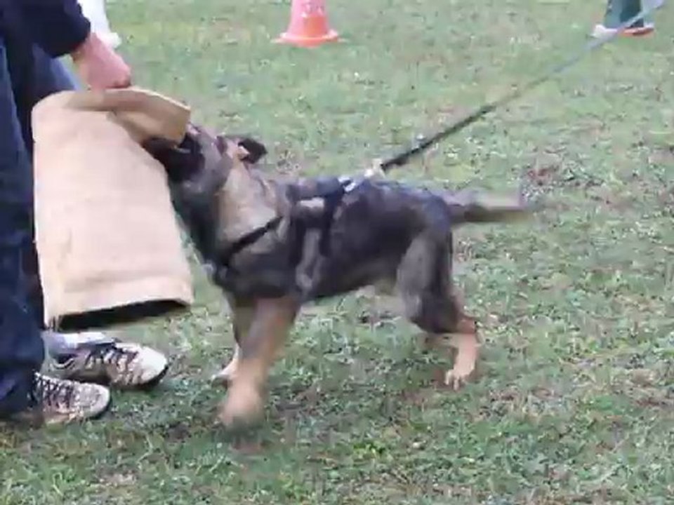 11 10 2012 HALEY 079