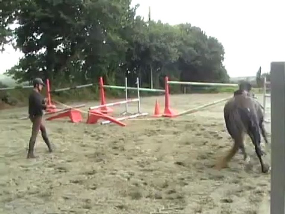 premiers sauts VESTA D'IVIN pouliche par MYLORD CARTHAGO