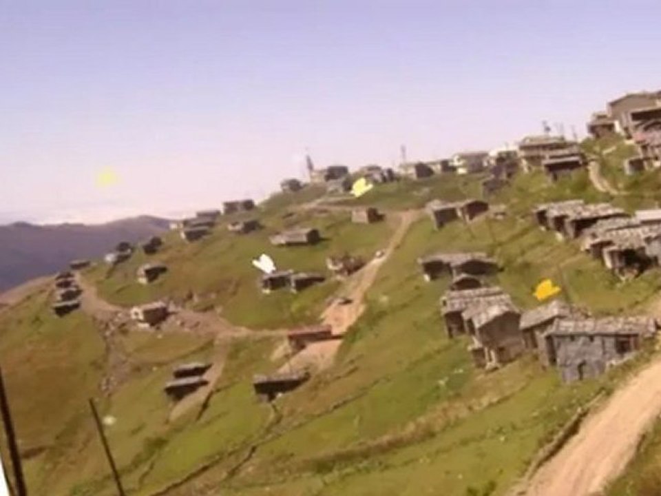 Salih Yılmaz-Yaylanın Çimenine