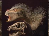 Four Freakiest Dinosaurs That Should Be In 