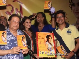 Aye Halo - Garba - Pankhida by Kishore Manraja