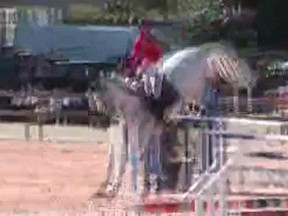 o star de pia 14.10.2012