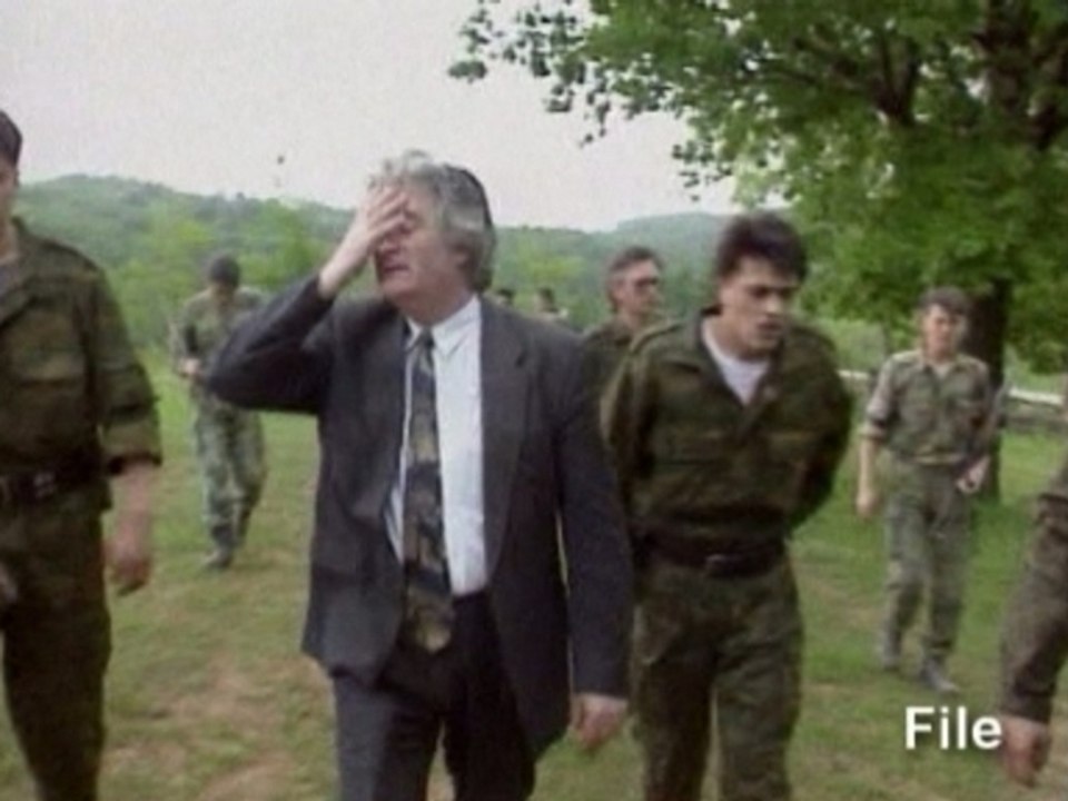 Former Bosnian Serb leader in defiant defence