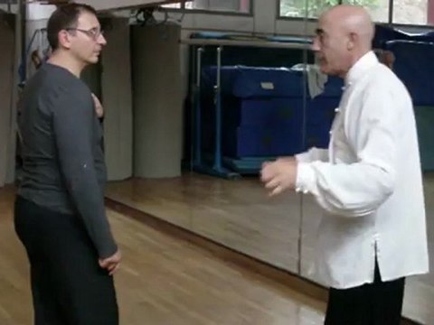 I SEGRETI DELLE ARTI MARZIALI INTERNE CINESI: DAGLI ESERCIZI DI BASE ALLE APPLICAZIONI MARZIALI. CORSI A ROMA DI TAIJI QUAN, NEI GONG,QI GONG, XIN YI CON IL MAESTRO FLAVIO DANIELE