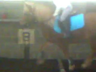 Merlin et moi Saut !