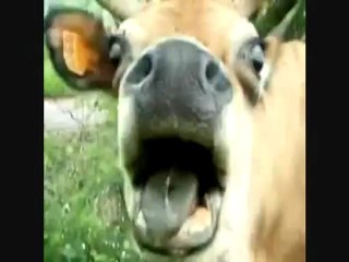 j’ai faim ! - Maryse B