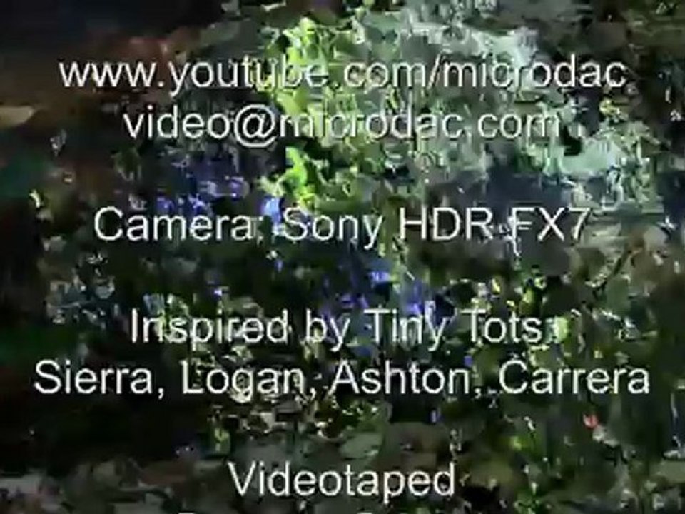 The Stream