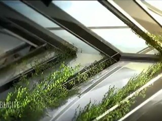 Jingle Publicitaire 11 (2012)